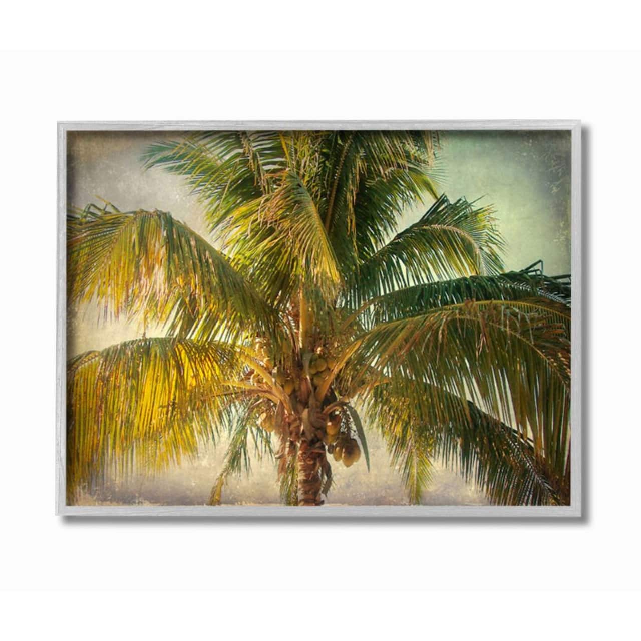 Stupell Industries Distressed Tropical Summer Palm Tree Framed Wall Art